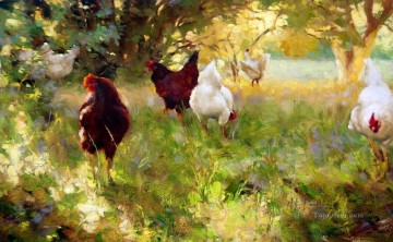 am207D13 animal fowls Oil Paintings